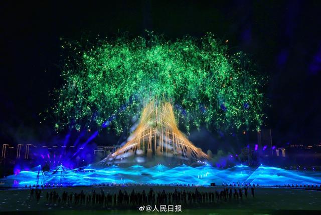 第1238页
