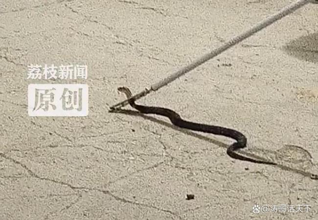 热点生活 第186页