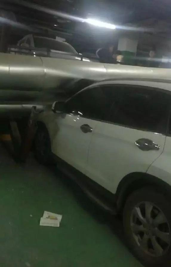 娱乐生活 第187页